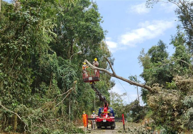 Lưới truyền tải điện phía Bắc đã sẵn sàng ứng phó trước bão số 8 ảnh 1