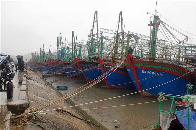 Tàu thuyền về neo đậu tránh trú bão tại khu cảng cá Lạch Quèn, huyện Quỳnh Lưu (Nghệ An). (Ảnh: Tá Chuyên/TTXVN) Nghệ An, Hải Phòng sẵn sàng ứng phó với bão số 8 sẽ gây mưa lớn ảnh 1