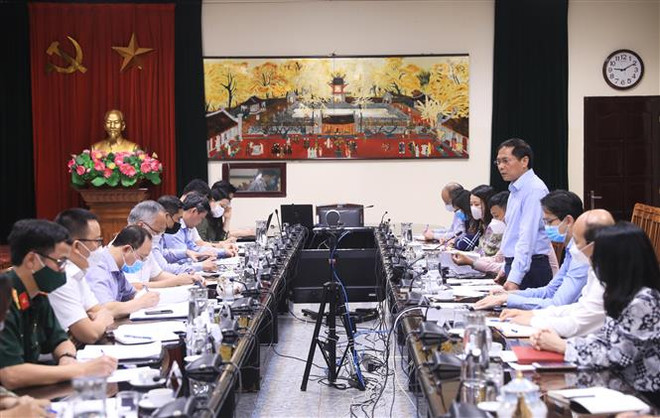 Xây dựng kế hoạch tổng thể về vaccine trên cơ sở nhu cầu trong nước ảnh 2