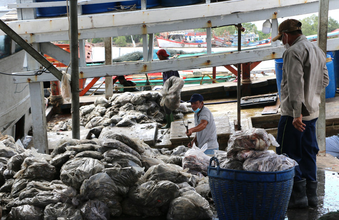 Bạc Liêu: Giám sát chặt tàu cá nguy cơ cao vi phạm biển nước ngoài ảnh 1