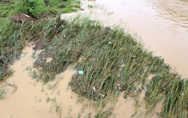 Xuất hiện lũ lớn trên sông Hồng đoạn chảy qua thành phố Lào Cai ảnh 1