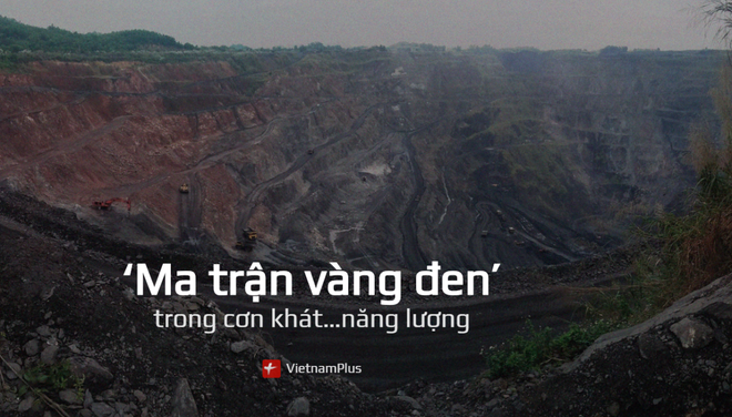 Quảng Ninh yêu cầu kiểm tra, xử lý các vi phạm do VietnamPlus phản ánh ảnh 1