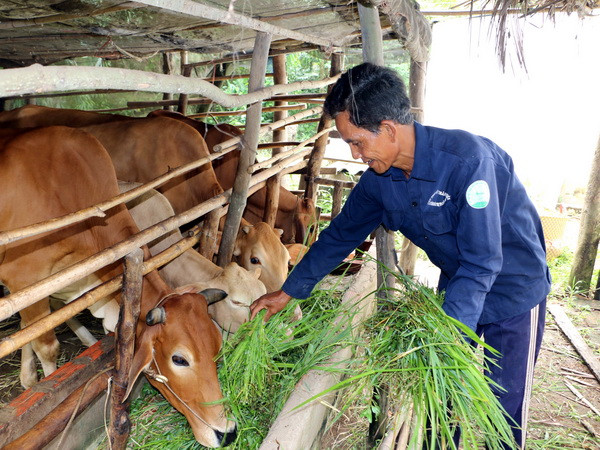 Ngành chăn nuôi Việt Nam với TPP: Vẫn có lộ trình để chuẩn bị ảnh 1