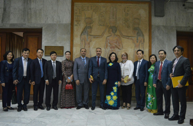 Đoàn đại biểu thành phố Hà Nội thăm và làm việc tại Ai Cập ảnh 2