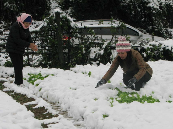 Từ nay đến Tết miền Bắc có thể xuất hiện 1-2 đợt rét đậm, rét hại ảnh 1