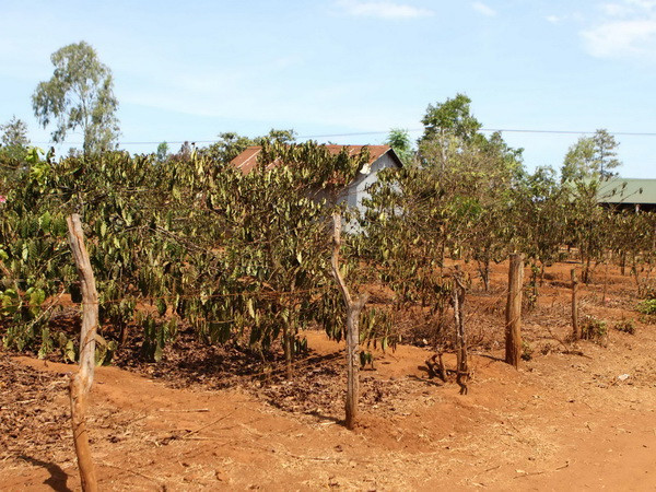 Vùng miền núi Bắc Bộ có mưa to, Trung Bộ duy trì nắng nóng ảnh 1