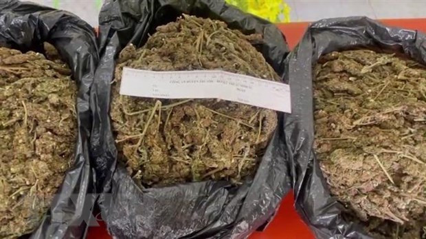 Thừa Thiên-Huế: Bắt 4 đối tượng vận chuyển trái phép hơn 4kg cần sa ảnh 1