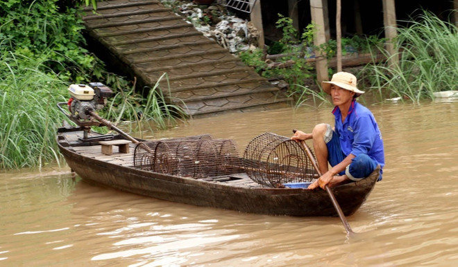 Quy định mực nước tương ứng với các cấp báo động lũ trên 244 sông ảnh 1