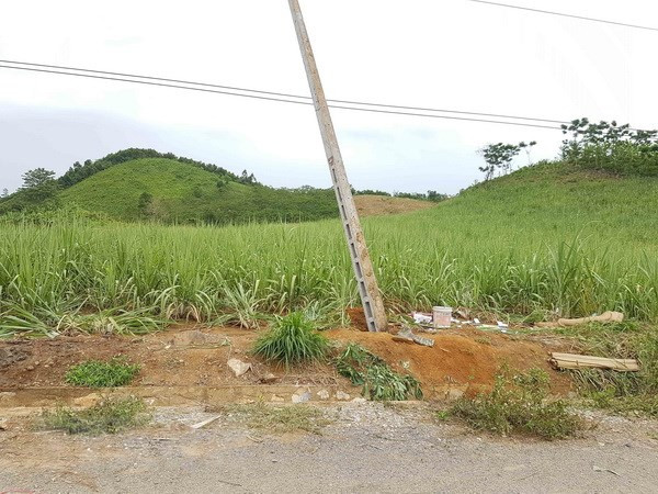 Viettel thông tin về việc 4 người bị điện giật tử vong ở Nghệ An ảnh 1