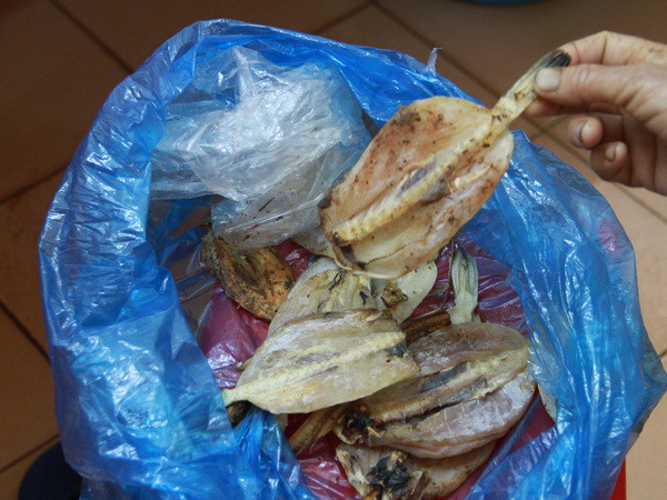 5 người trong một gia đình nhập viện sau khi ăn cá nóc ảnh 1