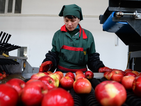 Nga tuyên bố duy trì lệnh cấm nhập thực phẩm của Phương Tây ảnh 1