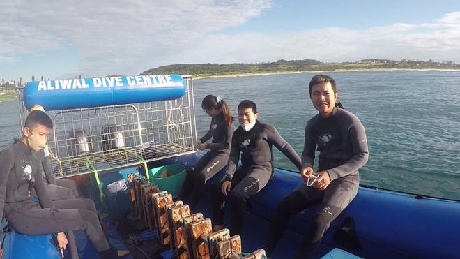 Thử thách du lịch mạo hiểm lặn cùng cá mập tại Nam Phi ảnh 1