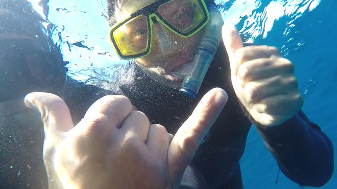 Thử thách du lịch mạo hiểm lặn cùng cá mập tại Nam Phi ảnh 4