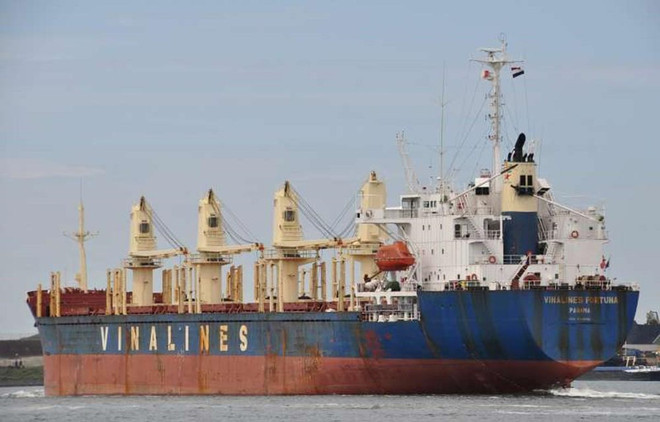 Vinalines sẽ thoái vốn 13 đơn vị thành viên trong năm 2020 ảnh 1