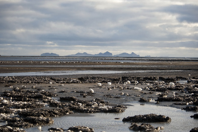 Cuộc chiến chống biến đổi khí hậu: Thời gian không còn nhiều ảnh 1