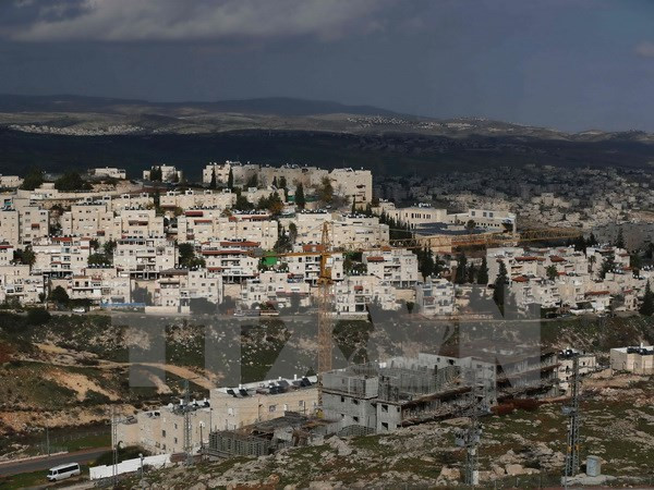 Mỹ: Hoạt động định cư của Israel làm suy yếu triển vọng hòa bình ảnh 1