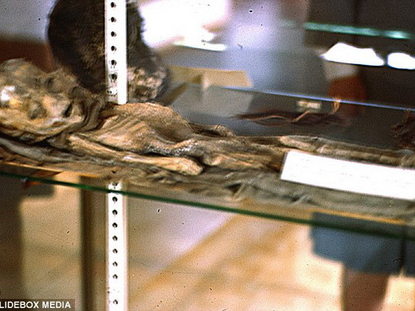 Người ngoài hành tinh tại Roswell chỉ là xác ướp cậu bé 2 tuổi? ảnh 1