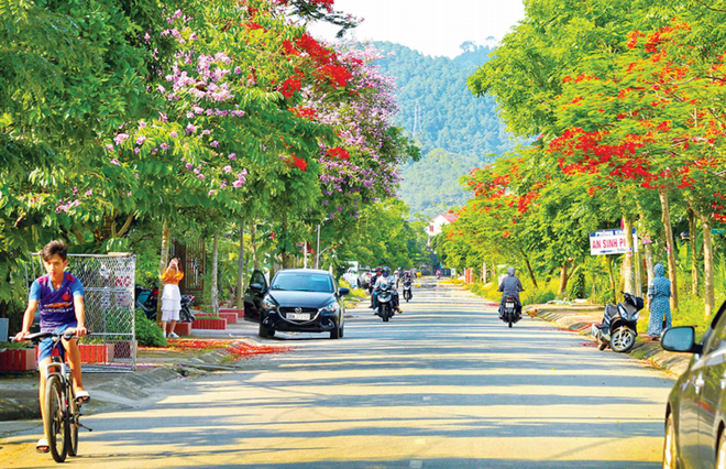 Vùng đất nhân kiệt địa linh 550 năm ‘tụ nghĩa’ giữa rừng vàng ảnh 3