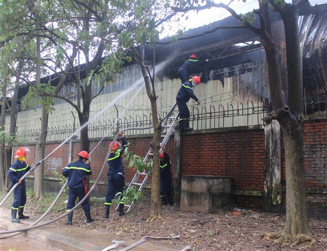Tiền Giang: Dập tắt kịp thời đám cháy tại cơ sở đóng gói trái cây ảnh 1