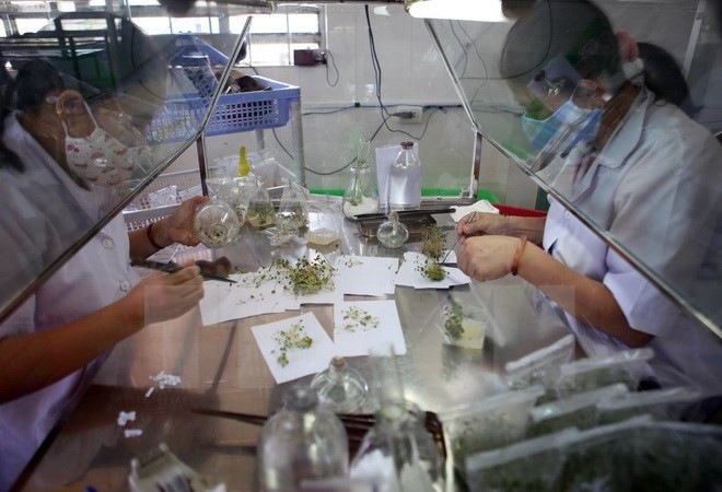 Mười sự kiện nổi bật trong năm 2017 của ngành khoa học công nghệ ảnh 6