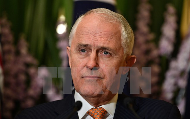 Thủ tướng Australia Malcolm Turnbull1. (Nguồn: AFP/TTXVN) Nhật Bản và Australia đang xem xét ký hiệp ước an ninh mới ảnh 1