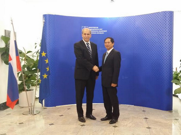 Thứ trưởng Ngoại giao Bùi Thanh Sơn tham vấn chính trị tại Slovakia ảnh 1