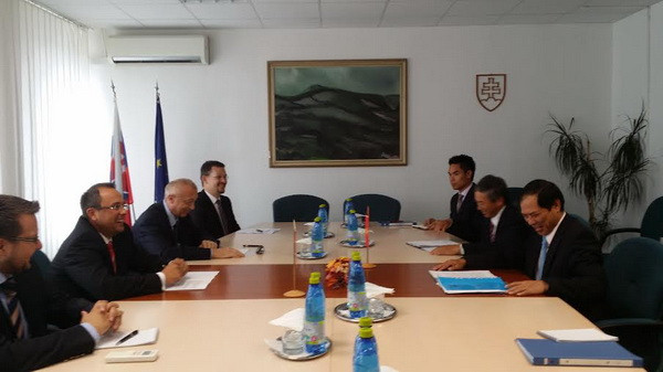 Thứ trưởng Ngoại giao Bùi Thanh Sơn tham vấn chính trị tại Slovakia ảnh 2