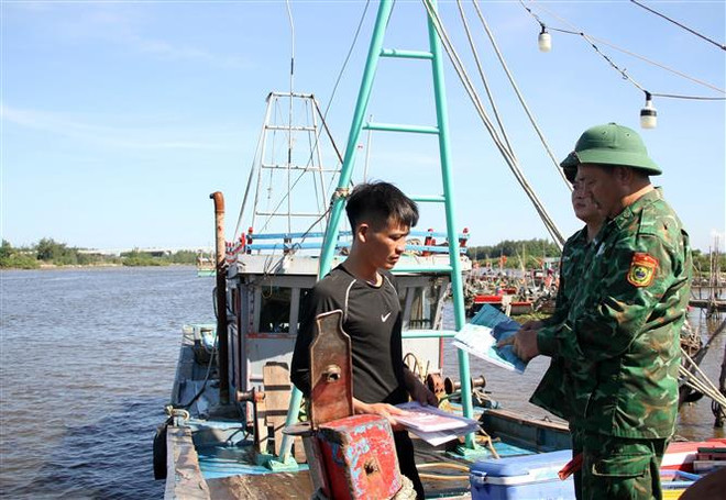 Nghệ An quyết liệt phòng, chống khai thác hải sản bất hợp pháp ảnh 1