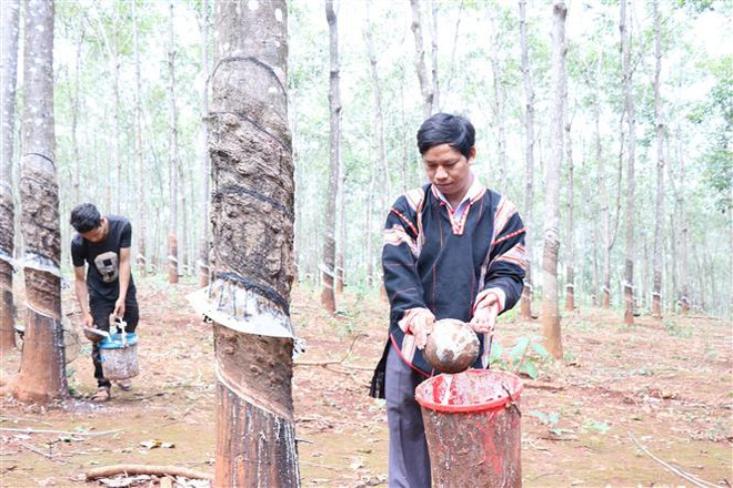 Bộ Công Thương ban hành Kế hoạch thực hiện Nghị quyết số 90 ảnh 2