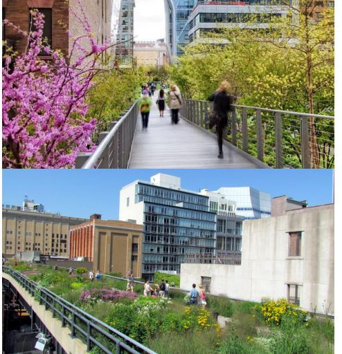 Cảm nhận về thành phố xanh New York của một kiều bào Mỹ ảnh 3