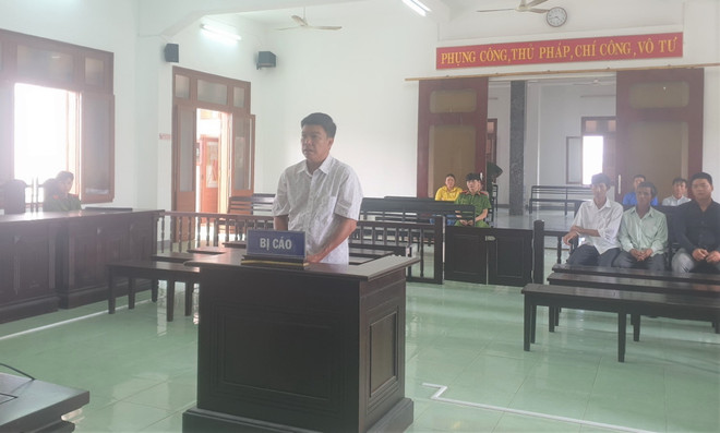 Xử lý nghiêm các đối tượng liên quan đến phá rừng tại Phú Yên ảnh 1