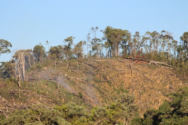 Công bố hàng trăm tổ chức, doanh nghiệp vi phạm pháp luật về đất đai ảnh 2