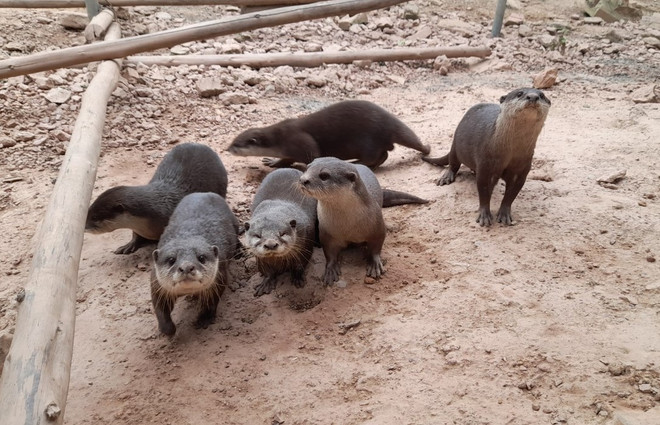 Ngày đa dạng sinh học 2022: Xây nền móng cho tương lai của sự sống ảnh 1