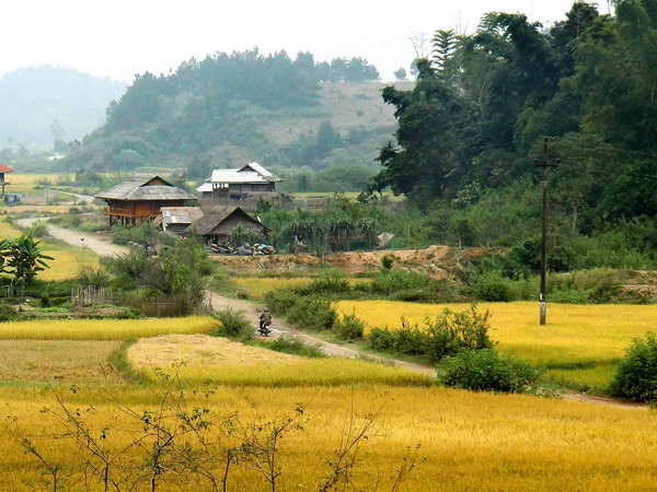 Tấm gương mẫu mực của chiến sỹ Điện Biên năm xưa ảnh 1