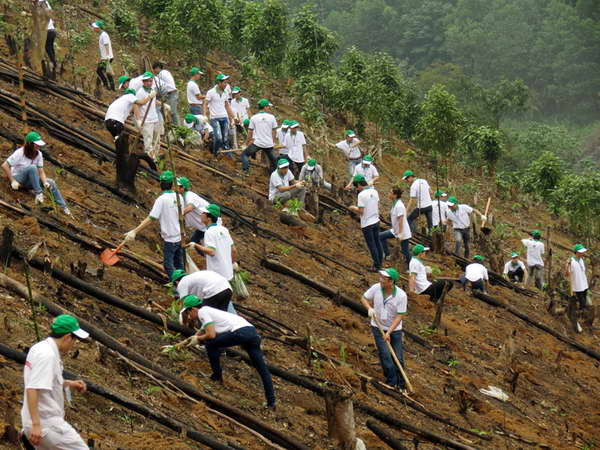 Honda Việt Nam hỗ trợ 4,9 tỷ đồng trồng rừng ở Bắc Kạn ảnh 1