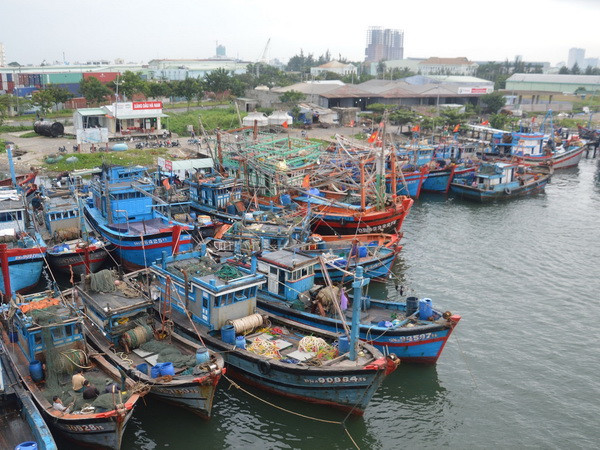 Bão số 11 đổi hướng và có khả năng sẽ mạnh lên cấp 13 ảnh 1