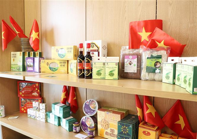 Việt Nam-Vương quốc Anh: Nhiều cơ hội trong quan hệ song phương ảnh 2