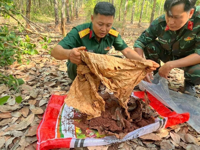 Bình Phước: Phát hiện, cất bốc 13 hài cốt liệt sỹ tại thị xã Bình Long ảnh 1