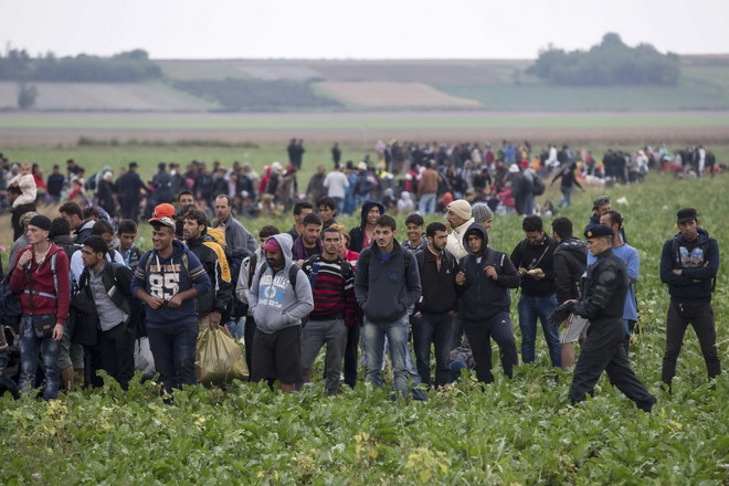 Croatia mở cửa biên giới, 3.000 người di cư thoát cảnh dầm mưa ảnh 1