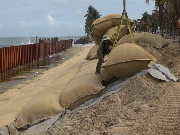 Long An: Hơn 300 tỷ đồng xây dựng bờ kè dọc sông Vàm Cỏ Tây ảnh 1