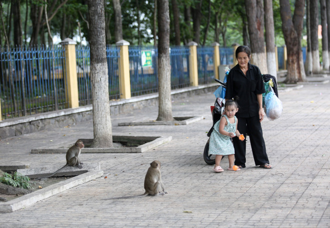 Tây Ninh: Người dân tự ý thả động vật hoang dã ra môi trường ảnh 1