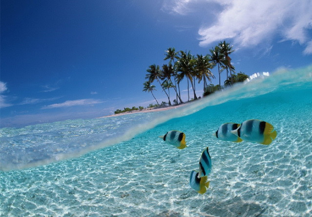 Indonesia sẽ miễn thị thực cho công dân của 25 quốc gia ảnh 1