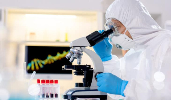 Phần mềm phân tích, dự báo đột biến gene của virus SARS-CoV-2 ảnh 1