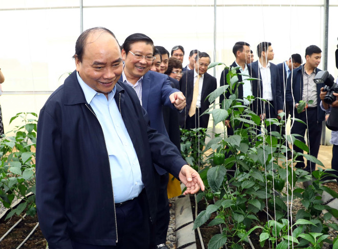 Thủ tướng dự lễ khánh thành nhà máy nước thảo dược Núi Tiên ảnh 2