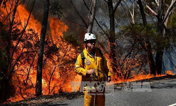 Các vụ cháy rừng ở Australia vẫn diễn biến rất phức tạp ảnh 1
