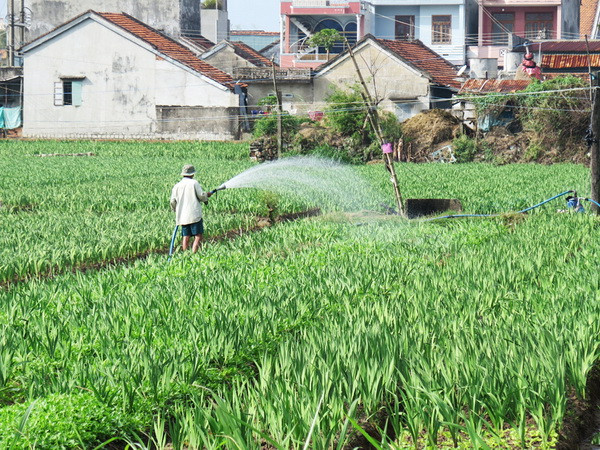 Phú Yên: Cách chức Phó Chủ tịch Ủy ban Nhân dân huyện Đông Hòa ảnh 1