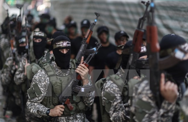 Israel triển khai xây hàng rào bêtông ngầm bao vây Dải Gaza ảnh 1