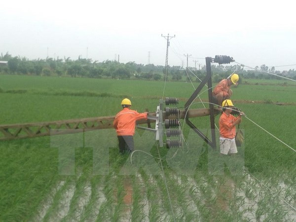 [Video] EVN lên tiếng về việc hàng loạt cột điện bị bão xô đổ ảnh 1