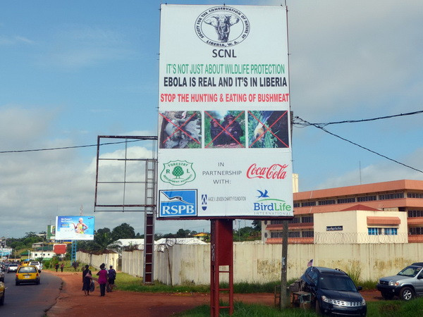 Các hãng hàng không thế giới tiếp tục tránh vùng dịch Ebola ảnh 1