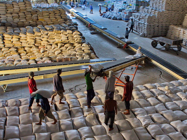 Xuất khẩu gạo tiếp tục giảm mạnh so với cùng kỳ năm 2014 ảnh 1